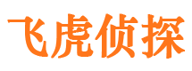 灵丘市调查公司